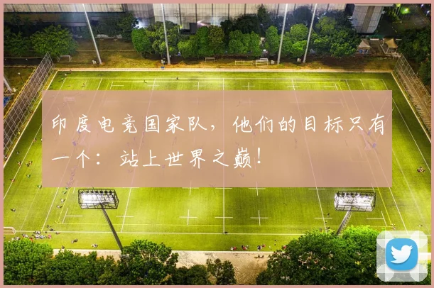 印度电竞国家队，他们的目标只有一个：站上世界之巅！