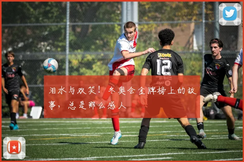泪水与欢笑！冬奥会金牌榜上的故事，总是那么感人